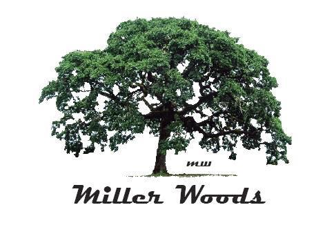 2021 Miller Woods 10K/5K